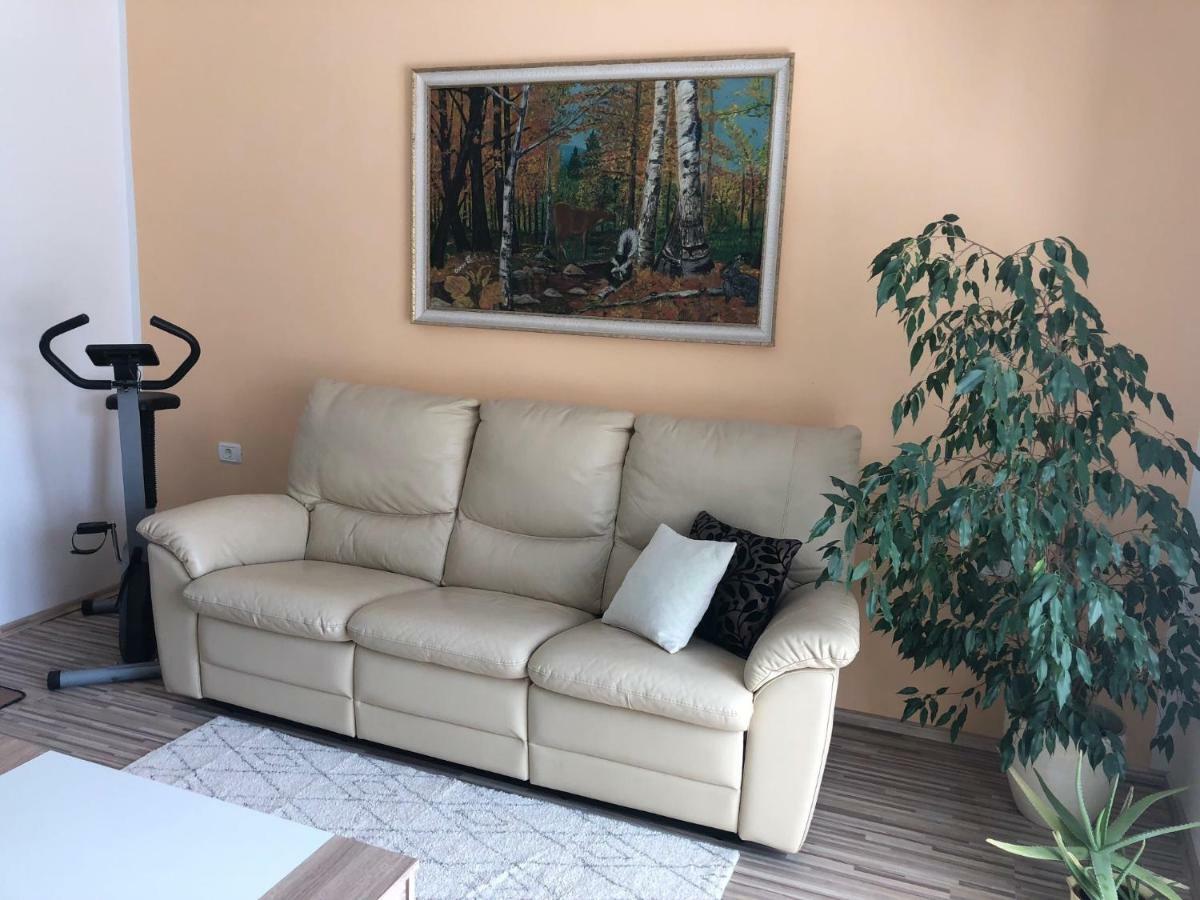 Apartma Mahnic Postojna Buitenkant foto